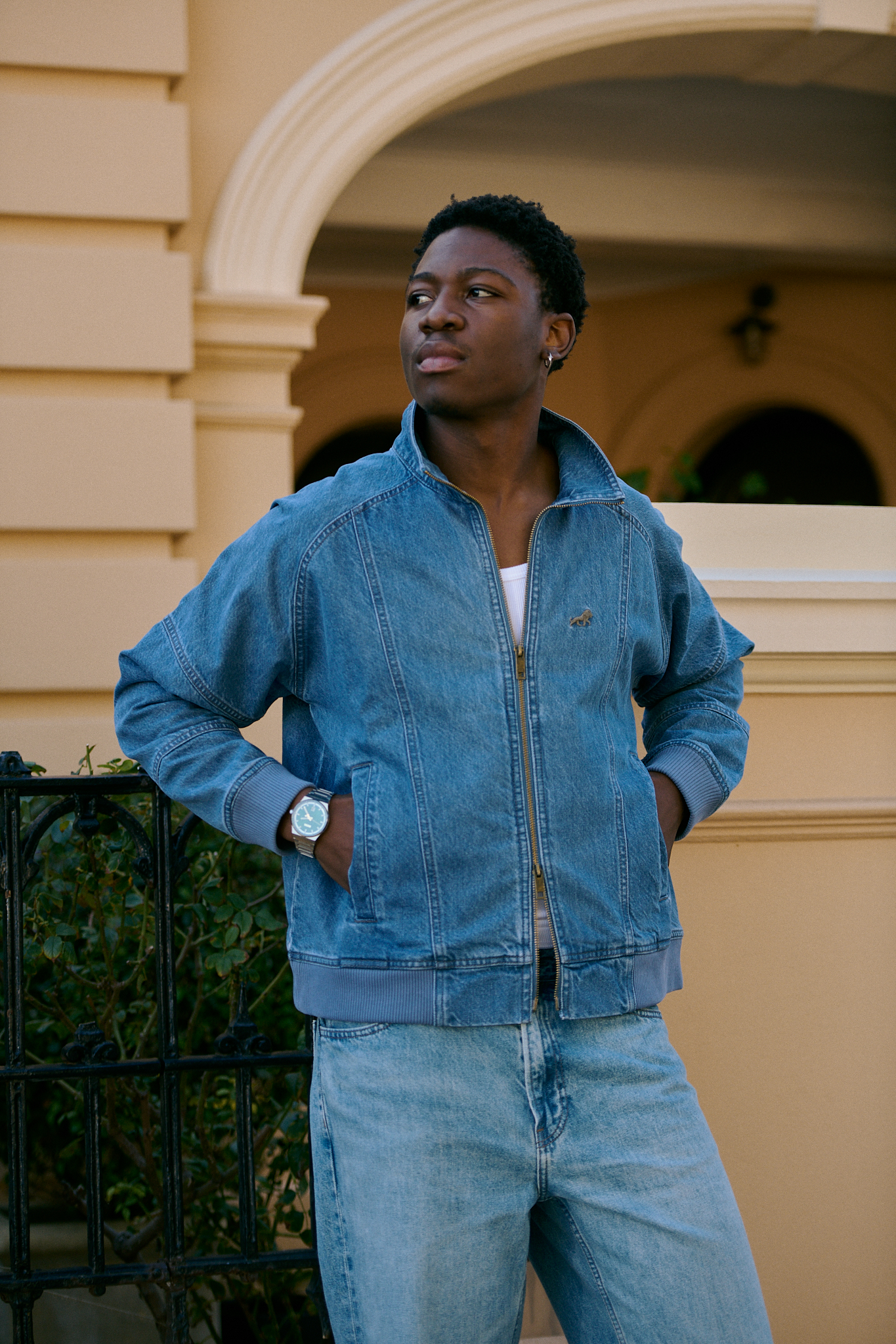 Denims